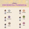 Tintura De Doble Extracción De Hongo Melena De León 50ml
