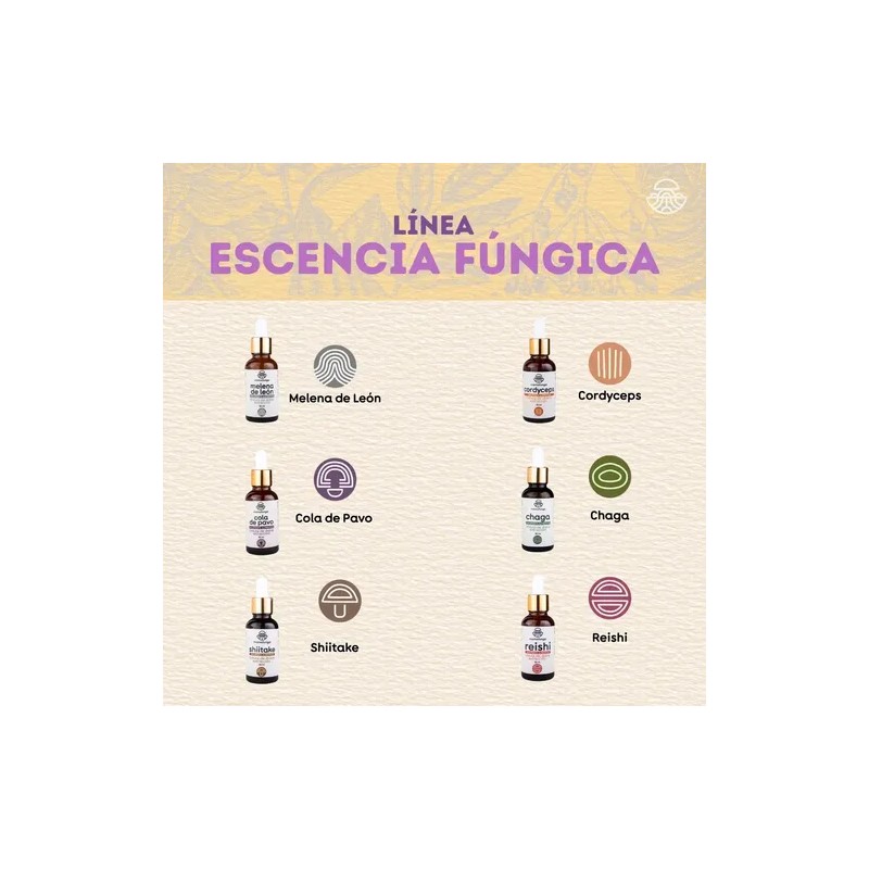 Tintura De Doble Extracción De Hongo Melena De León 50ml