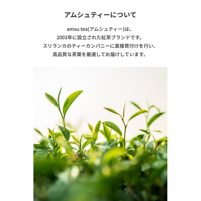 amsu tea flavored tea Earl Grey Tea Bags 15 Bags