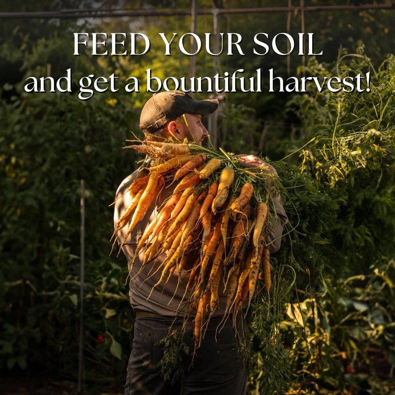 Worm Castings - Natural Fertilizer and Soil Amendment from Mindful