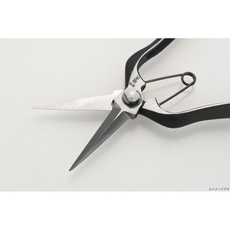 Takagi Double-edged Bud Cutting Shears, Metal Stopper, 7.9 inches (200