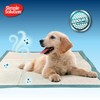 Simple Solution Training Pads, XL, xl