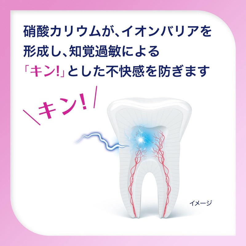 Shumitect Periodontal Care Portable Set, 1 Set