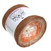 LiLu's gradient yarn, desert sky mocha, exterior, 4-ply, 400 g/1520