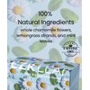 EZR Leaf Mint & Chamomile Herbal Tea 20 Pyramid Tea