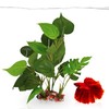 SunGrow Plastic Leaf Plant, Heavy-Duty Ceramic Base, Hiding Spot for