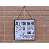 CARISPIBET All you need is love and a bunny pet