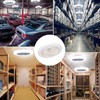 Ceiling Light with Fan, Lamp with Fan, Ceiling Fan with