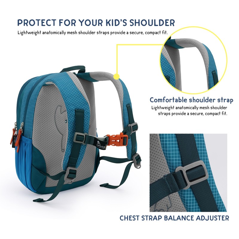 Mountaintop Children's Backpack, Toddler Backpack with Lead, Nursery Backpack for
