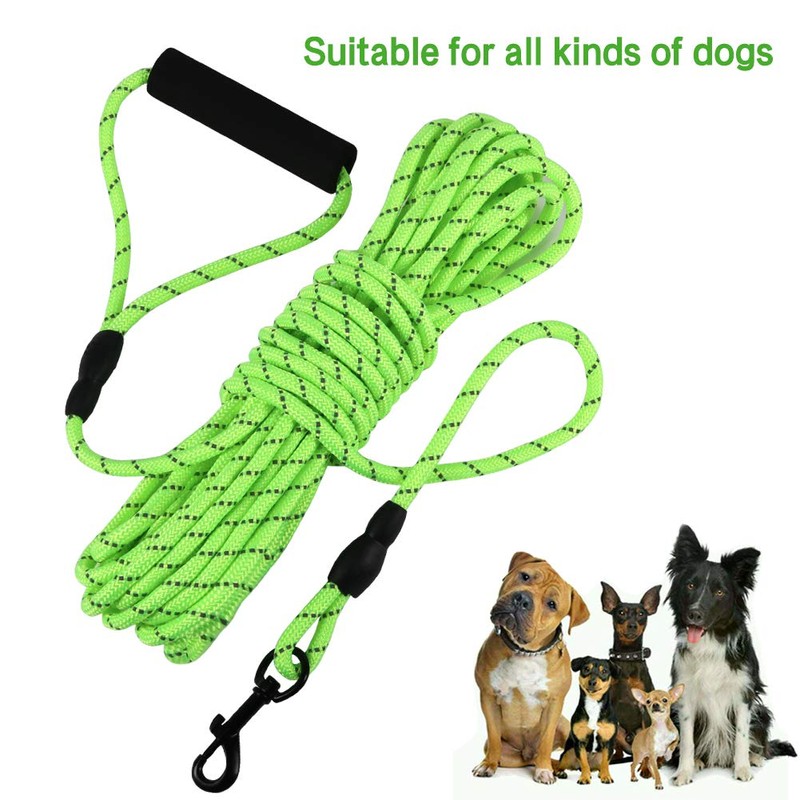 Vivifying Floating Long Dog Leash, 32ft Dog Training Leash for
