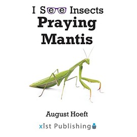 Praying Mantis