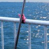 Prox PX437P Pitato! Magnetic Rod Holder, Pink
