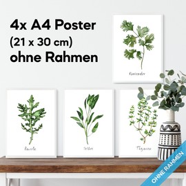 Aesthetic Kitchen Wall Pictures Spices Poster Set | Herb Pictures Collage in Watercolour Design | Spices Set Kitchen Poster Wall Collage | 4 x A4 without Picture Frame | Set Coriander Rucola Sage