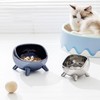 Cat Bowl Proper Height Mirror Safety Ceramic Stable Large Capacity
