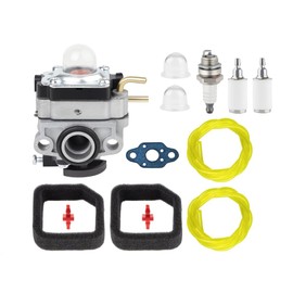 753-06258A Carburetor for Ryobi RY252CS RY253SS RY251PH RY254BC 2 Cycle 25cc String Trimmer Parts RY 25 PHEMC RY25 CSEMC VNM 307160001 316299372 316773800 Carb with Air Filter Kit