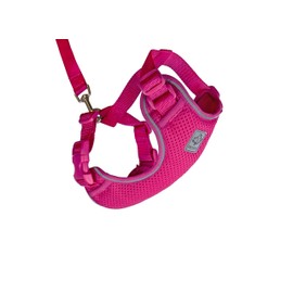 RC Pet Products Adventure Kitty Harness, Cat Walking Harness, Small, Raspberry (53803014)