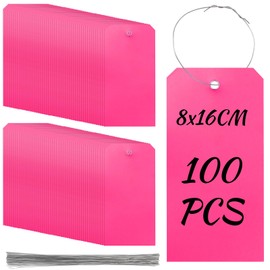 Rustark 100Pcs Pink Plastic Shipping Tags 3.15"x6.3"/8x16CM Plastic Hang Tags Waterproof Shipping Tag Writable Blank Hang Tags with Holes for Luggage Garage Inventory Car Parts