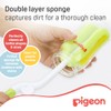 Pigeon Sponge Brush (04547)