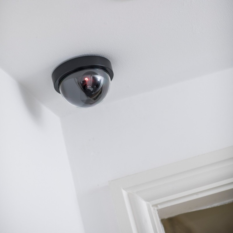 Mercury Dummy Dome Camera With Flashing Led