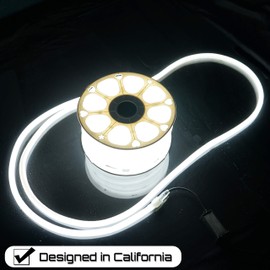 Russell Decor LED Neon Rope Lights Flexible (Cool White, 100 FT)