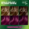 Natural Instincts Bold Permanent Hair Dye, F66 Dragon Fuchsia Hair