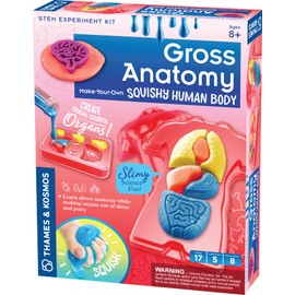 Thames & Kosmos Gross Anatomy: Make-Your-Own Squishy Human Body STEM Experiment Kit | Make Colorful Models of Human Organs with Slime & Putty | Fun, Tactile Intro to Human Anatomy | 5 Cool Activities
