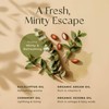 Gya Labs Eucalyptus Mint Massage Oils for Massage Therapy -
