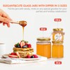 AuroTrends 3oz Honey Jars with Dipper 48Pack, Mini Honey Jars