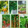 Youery Plant Support Net, 120 x 80 cm Plant Net