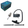 HEPENG 4244-400-1307 Ignition Coil WITH SPARK PLUG AND RIBBONS for