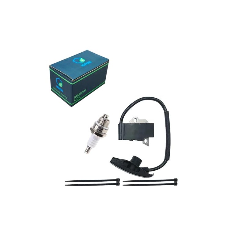 HEPENG 4244-400-1307 Ignition Coil WITH SPARK PLUG AND RIBBONS for