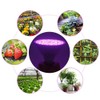 290LED Single Head LED Plant Light Bulb Greenhouse Garden Indoor