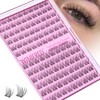 Winifred Natural Lash Clusters 10-12mm Short Eyelash Clusters Wispy Lashes