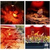 JZAHYUK 150W Chicken Heat Lamp Bulbs, Infrared Heat Lamp for