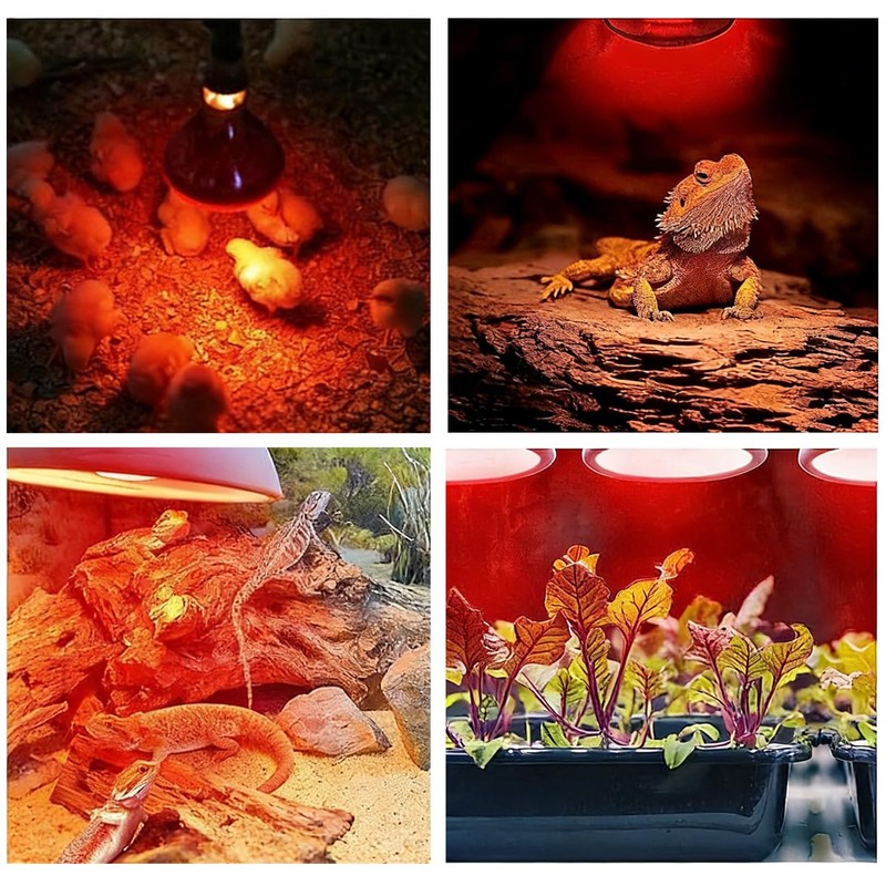 JZAHYUK 150W Chicken Heat Lamp Bulbs, Infrared Heat Lamp for