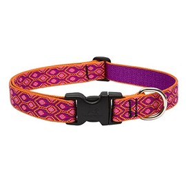 LupinePet Originals 1" Alpen Glow 16-28" Adjustable Collar for Large Dogs