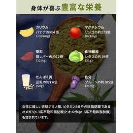 ヘンププロテインパウダー 100g 完全無添加 麻の実