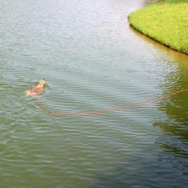 lynxking Check Cord Dog Leash Long Lead Training Tracking Line Comfortable Handle Heavy Duty Puppy Rope 10ft 15ft 30ft 50ft for Small Medium Large Dog