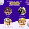 Choward's Violet Mints Candy Bag | Bold Aromatic Flavor |