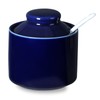 ONTUBE Ceramic Sugar Bowl with Lid and Spoon,Porcelain Seasoning Box