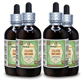 Club Moss (Lycopodium Clavatum) Glycerite, Dried Whole Herb Alcohol-FREE Liquid Extract (Brand name: HerbalTerra, Proudly made in USA) 4x4 fl.oz (4x120 ml)