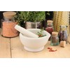 apollo THE HOUSEWARES BRAND Pestle and Mortar, Ceramic Spice and