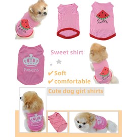 Clopon Cat Clothes for Cats Dog t Shirts for Medium Dogs Funny Dog Sweatshirt Printed Pet Clothing Sweater Frenchie Dog Accessories, Small