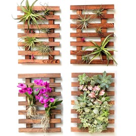 ShopLaLa Wall Planters - 4 Pack Wooden Hanging Planter for Indoor Outdoor Plants, Air Plant Succulent Orchid Holder, Live Vertical Garden Wall Mounted Plant Stand, Wall Christmas Decor 15.7" (40cm)
