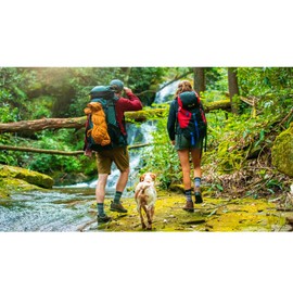 FITS Light Performance Trail – Quarter: Rugged Hiking Socks for Hiking, Camping, Running and Trekking, Fishing, Charcoal, L