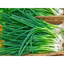 Back To Nature Seed Company Evergreen Bunching Green Onion - Seeds - Organic - Non Gmo - Heirloom Seeds - 10 Seeds