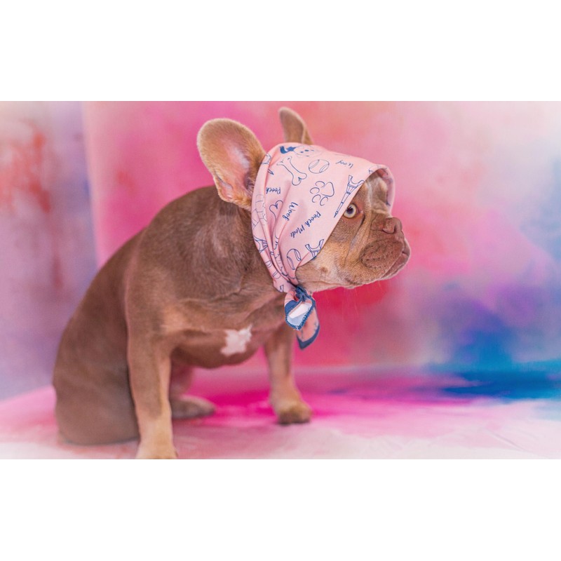 Pooch Mode Conversational Print Dog Bandana (Medium/Large)