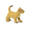 Safari Ltd. Lion Cub Figurine - Lifelike 2.35" Wildlife Figure