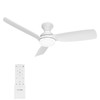 Consciot Ceiling Fan, Ceiling Fan With Lights Remote Control, 44