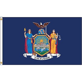 Annin - 143880 - New York State Flag, 5 ft.H x 8 ft.W, Indoor, Outdoor
